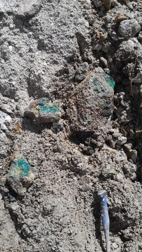 WhatsApp Image 2026-03-29 at 13.20.00